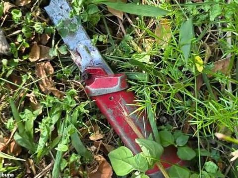 เดือดรักสั่นครัว! ภรรยาหึงผัวแอบดูหนังโป๊ ลงมือโหดจน ตัดจู๋ ทั้งบ้านช็อก” เอามาต้มซุปให้ดื่ม